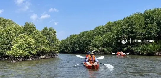 Mangrove Forest Kampot